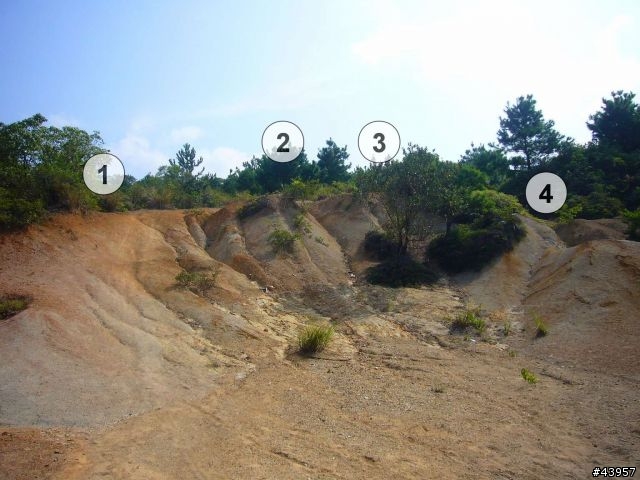 [分享]丹鳳山off road主路線懶人包