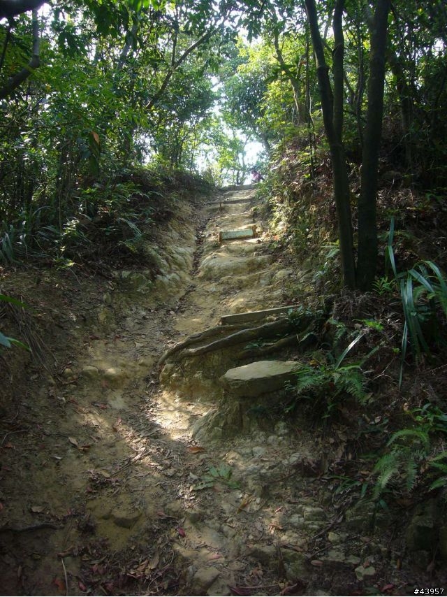 [分享]丹鳳山off road主路線懶人包