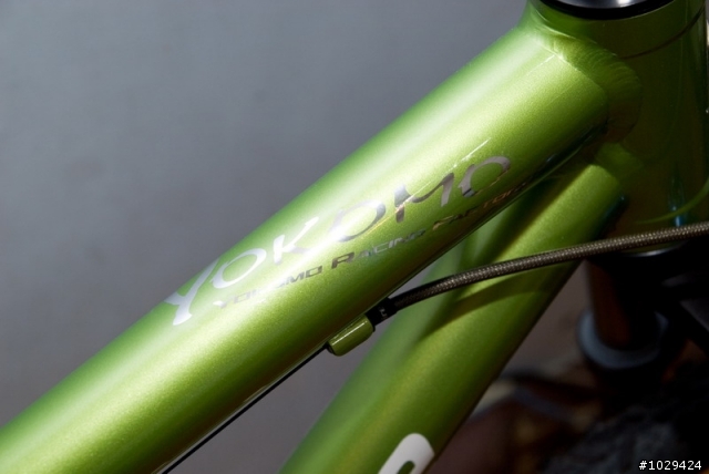 {分享}自組CANNONDALE登山車心路歷程.圖特多喔