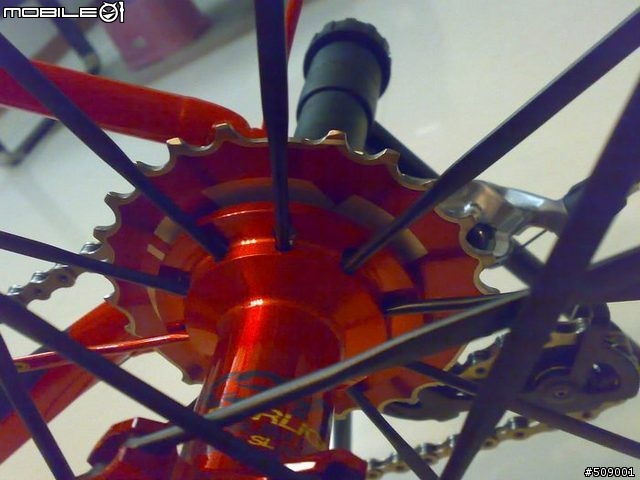 我的 Primavera TRIUMPH