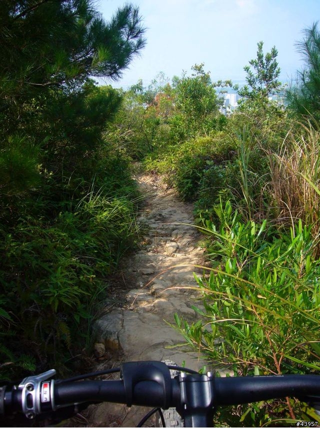 [分享]丹鳳山off road主路線懶人包