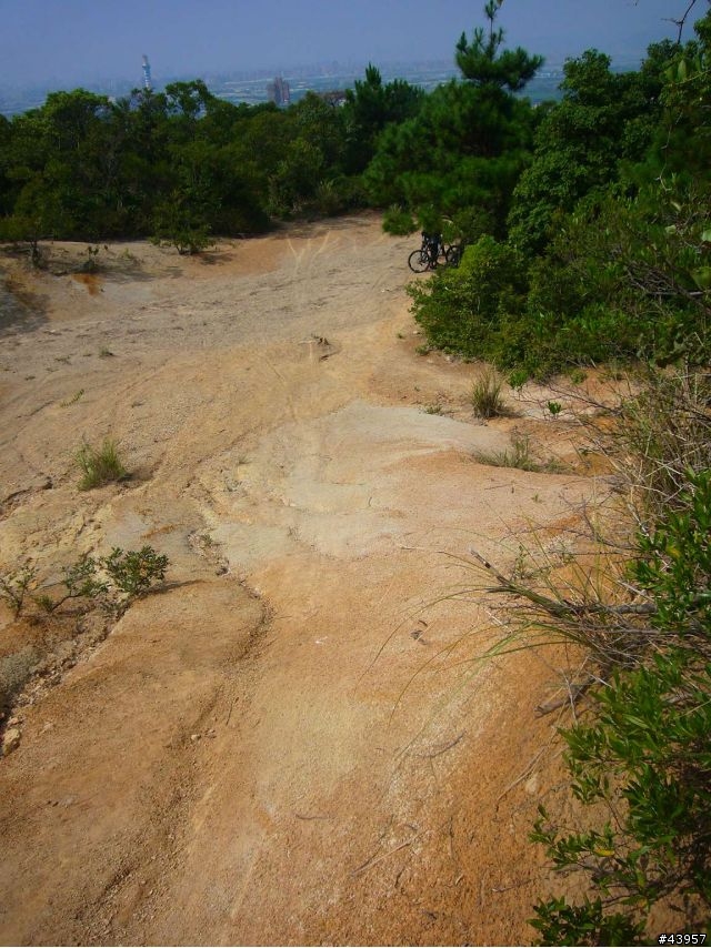 [分享]丹鳳山off road主路線懶人包