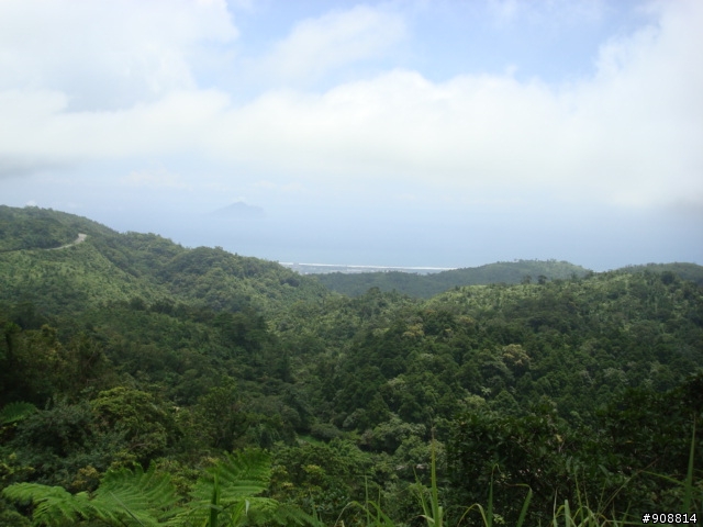 2009年8月初之4天3夜宜花東親子單車之旅之後段被颱風中斷遊記...(圖多)