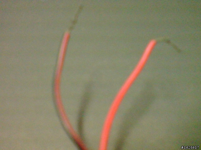天真的我  這樣可行嗎?