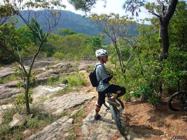 [分享]丹鳳山off road主路線懶人包