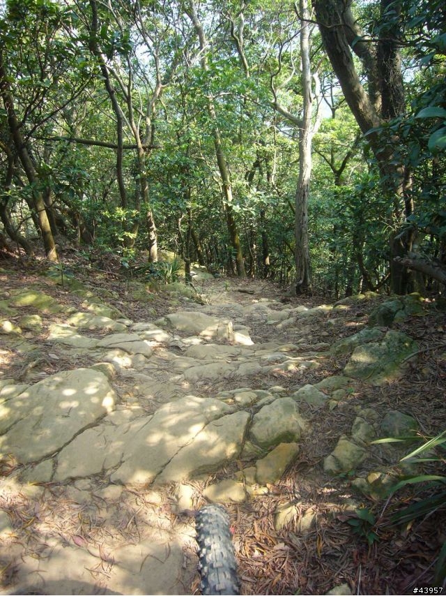 [分享]丹鳳山off road主路線懶人包