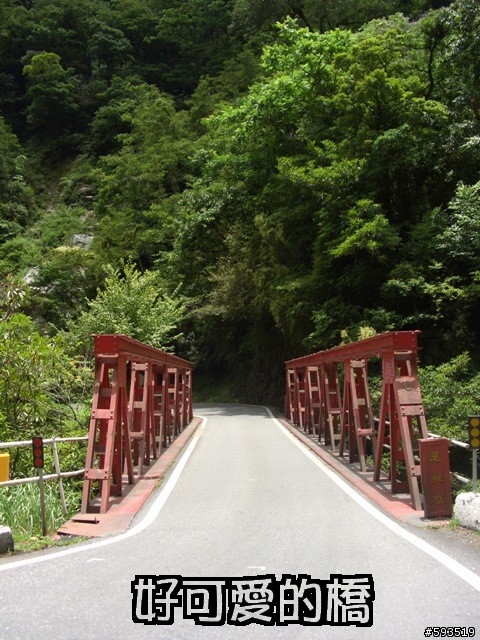 09年一路玩回家  (陽明山->武嶺->清水) [圖爆多]