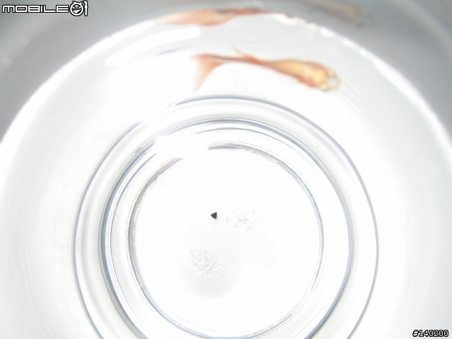 我的魚都得了大頭症