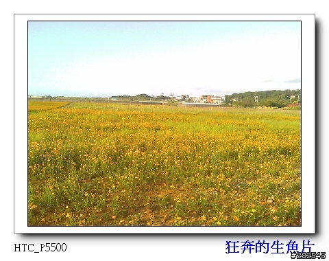 菜籃車的一日遊_台北~三芝
