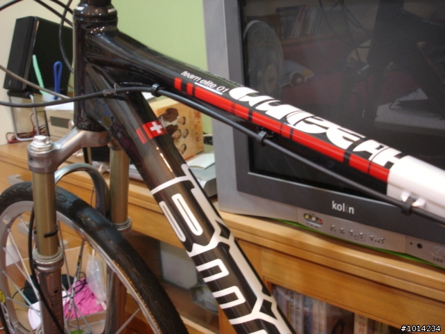 bmc team elite 01 簡單分享