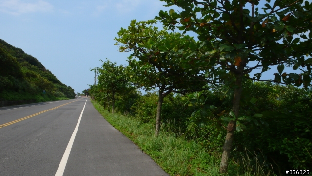 [遊記] 區間火車+單車+搭船的複合路線 烏石港賞鯨+草嶺隧道+東北角海岸一日遊