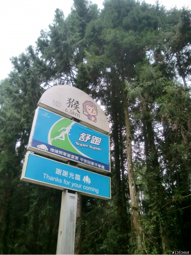一度想放棄完騎的~台中到杉林溪直達