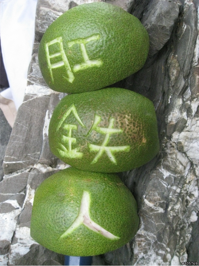單車騎到這地步，實在是太超過了!!!(老七佳遊記分享)