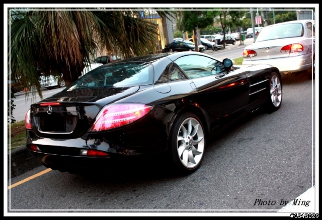 千萬神獸又出來散步了