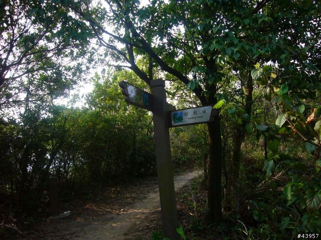 [分享]丹鳳山off road主路線懶人包