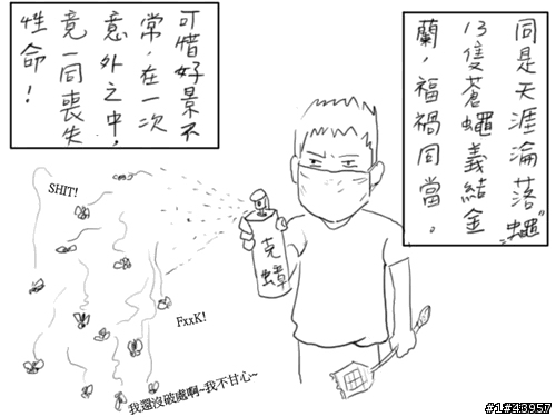 [分享]網路漫畫-蒼蠅的一生