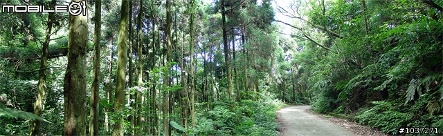 【里程資訊+坡度分析】熊空越嶺+三峽佛山寺