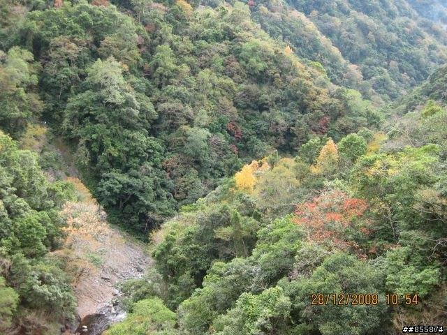 [活動取消]12月19日(六)秋天的北橫 sorry!!!
