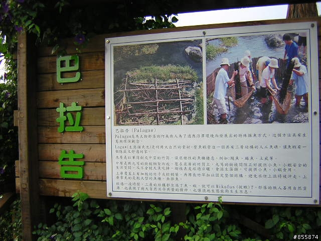 花東景點介紹之一~馬太鞍濕地