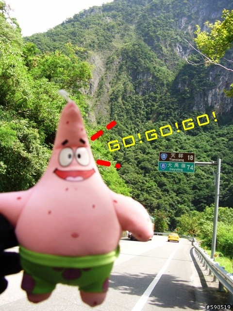 09年一路玩回家  (陽明山->武嶺->清水) [圖爆多]