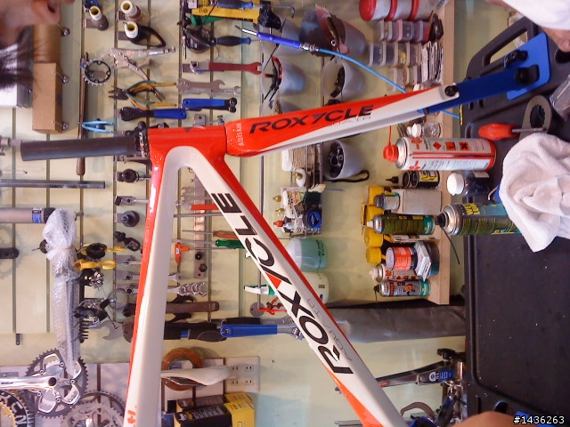 簽到囉ROXYCLE.....希望我不是孤兒