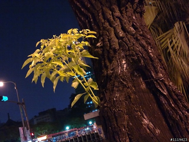 【另類開箱】我愛上的 N 。8 6 的純淨