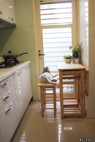 《求助》有看過這個小桌子嗎?