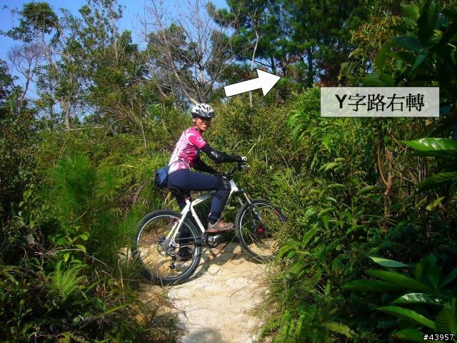 [分享]丹鳳山off road主路線懶人包