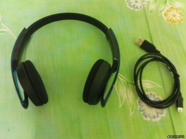 SONY DR-BT101無線藍芽耳機簡單開箱文