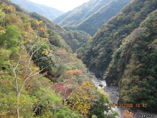[活動取消]12月19日(六)秋天的北橫 sorry!!!