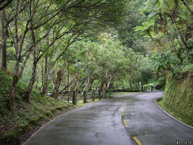 花東景點介紹之十一~鯉魚潭