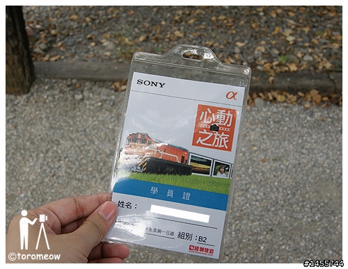 Sony α 心動之旅◆羅東運動公園