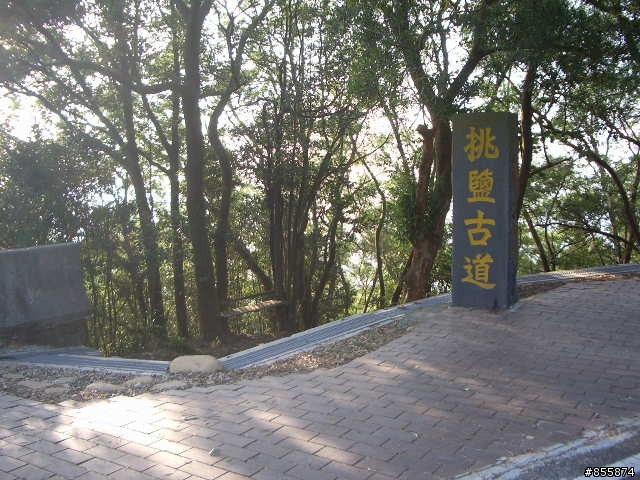 [路線介紹]銅鑼天空自行車道