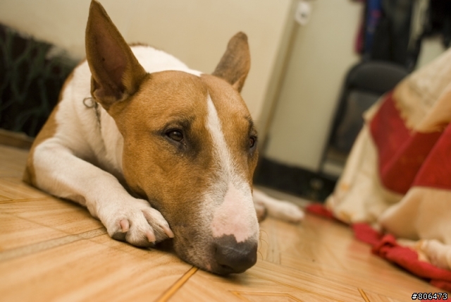 超冷門 24mm 2.8 隨手拍