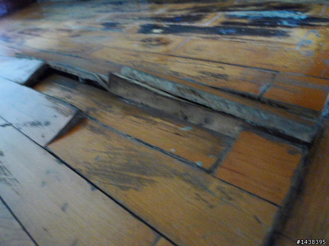 ＊HELP~~木地板隆起變成小山丘了！>