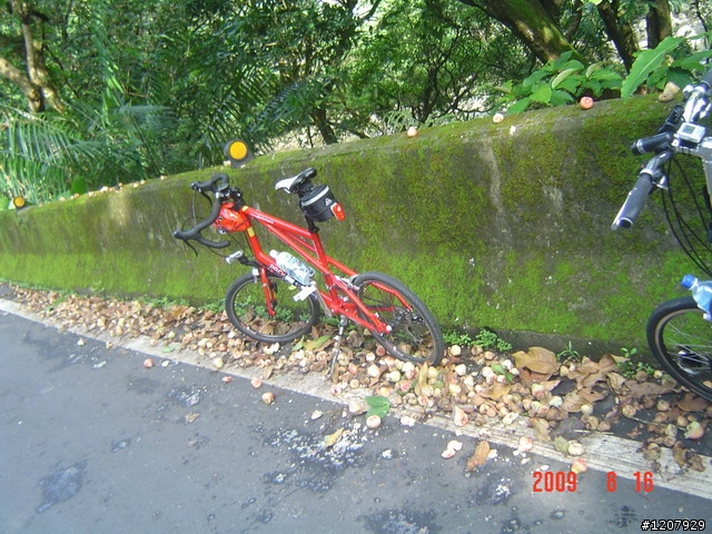 2009~8/16本來行程是廣興,結果迷路騎去獅頭山,騎車不忘迷路的精神所在啦