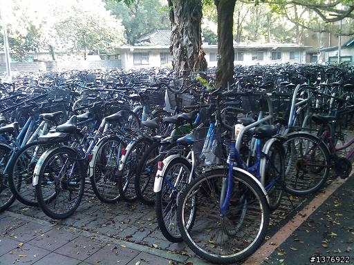 發現疑似單車屠宰場