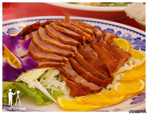 Sony α 心動之旅◆羅東運動公園