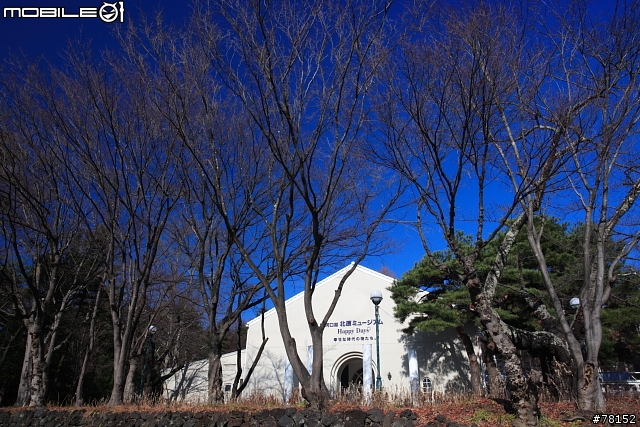 [分享]東京近郊,清心悠閒之旅--三鷹吉卜力美館+河口湖周遊