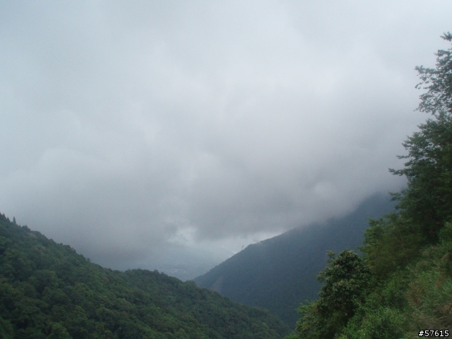 [分享]雲端遙遊--塔塔加
