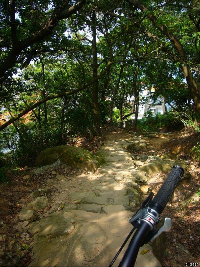 [分享]丹鳳山off road主路線懶人包