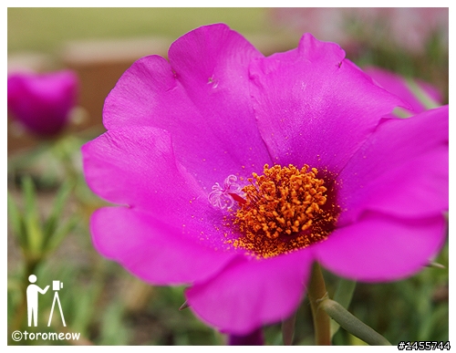 Sony α 心動之旅◆羅東運動公園