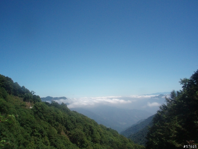 [分享]雲端遙遊--塔塔加
