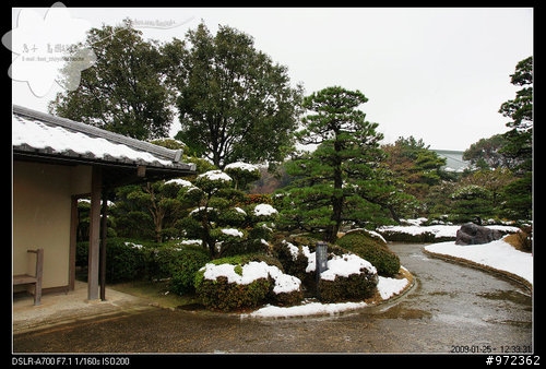 福岡--大濠公園之「日本庭園」