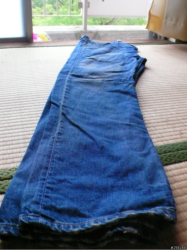 35歲歐吉桑的人生第一條 501 <木村代言款197> 090822照片更新