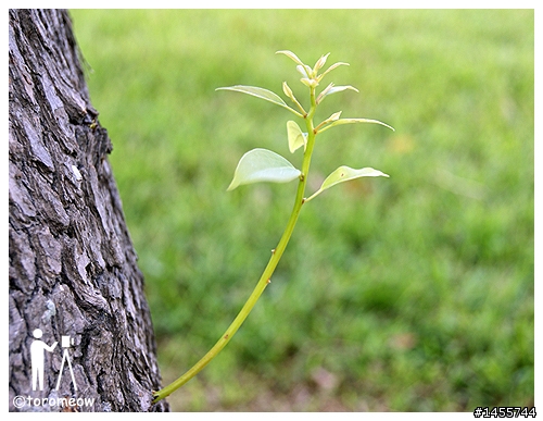 Sony α 心動之旅◆羅東運動公園