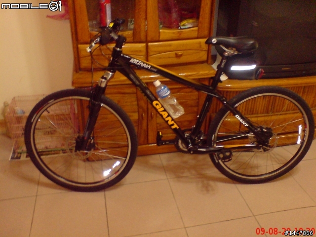 {新車來報到}GIANT iguana disc 來報到！！