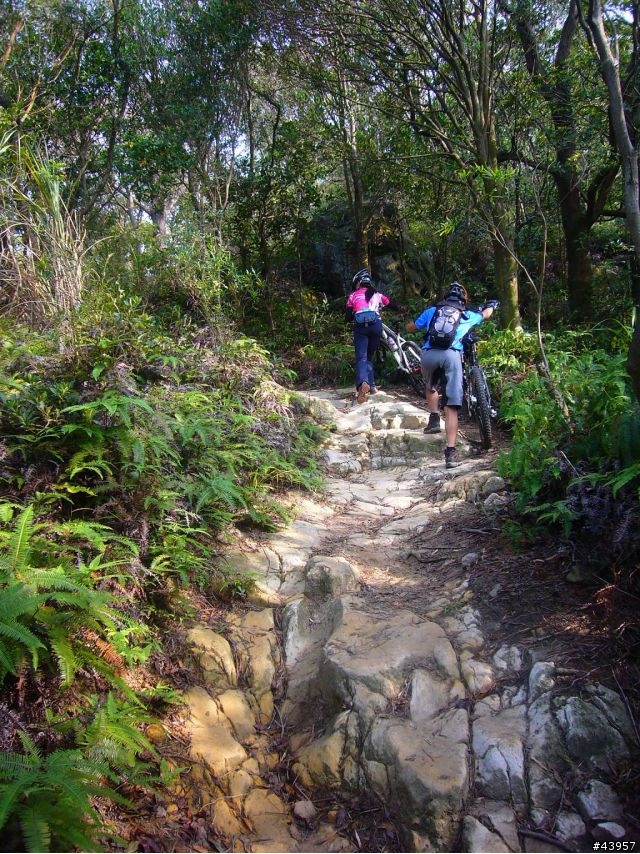 [分享]丹鳳山off road主路線懶人包