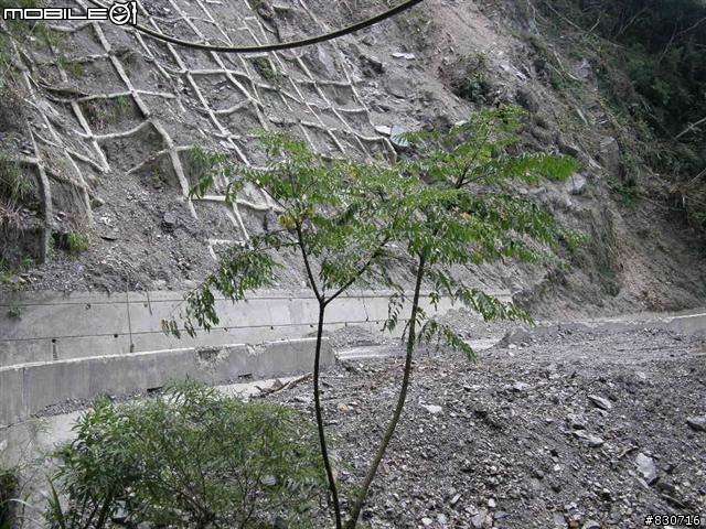 2009-08-25  24段登山車也能一日雙北(夜騎北宜)附圖83張