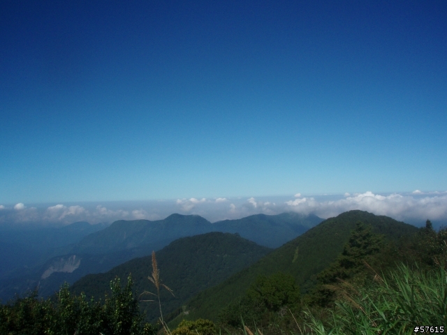 [分享]雲端遙遊--塔塔加